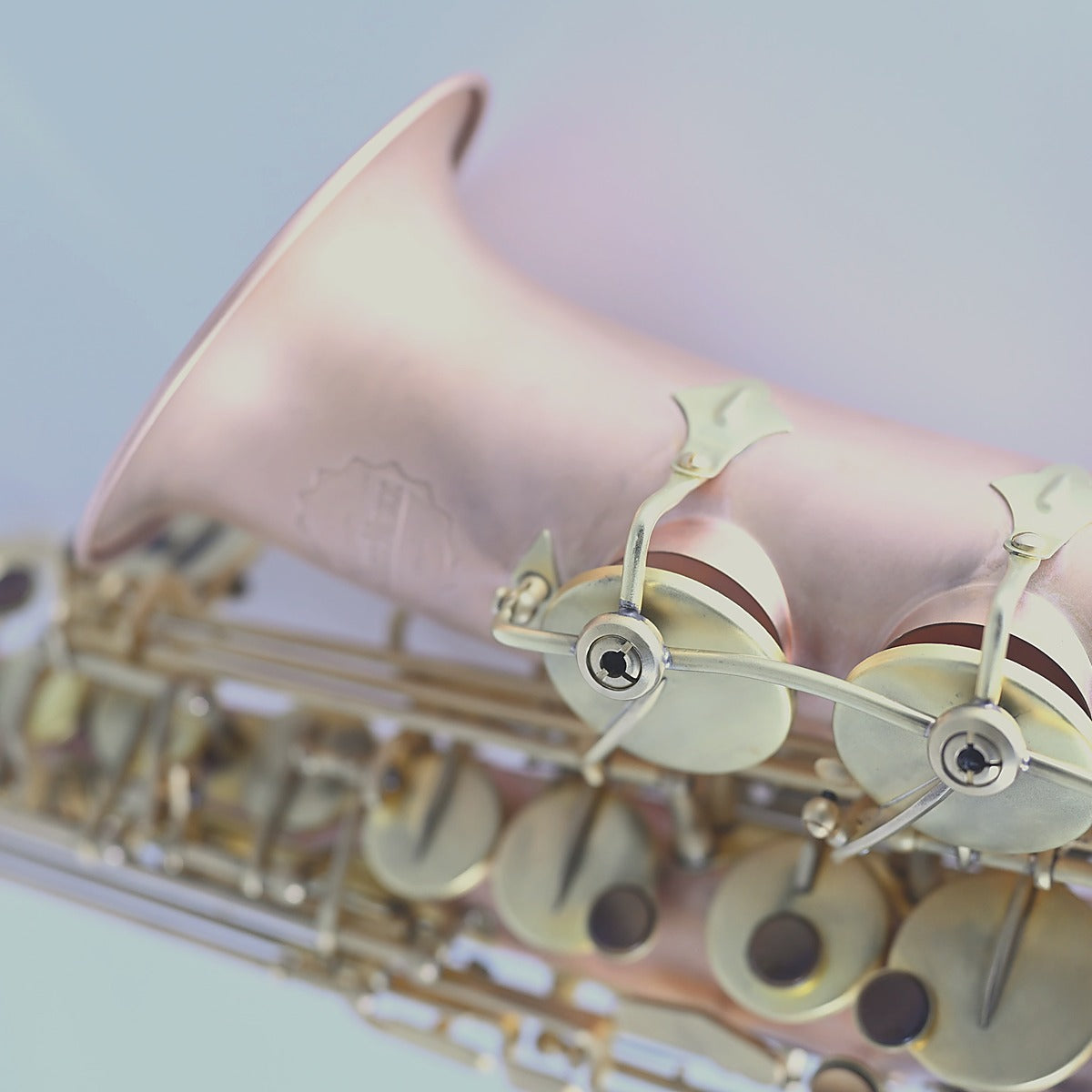 Altsax JM RAW Artisan